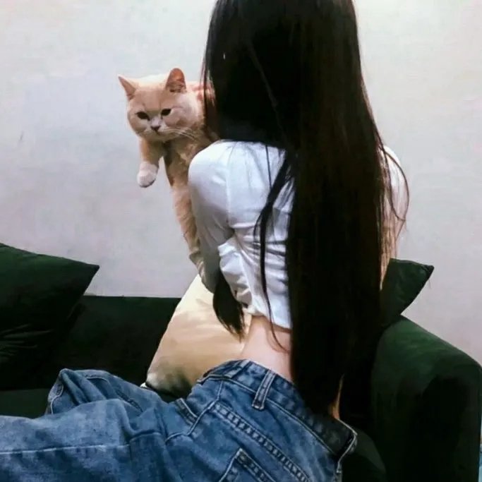 风流女明星